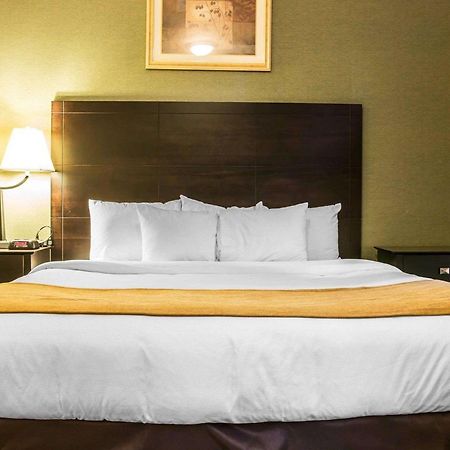 Comfort Inn Whitehall Near Michigan'S Adventure Esterno foto