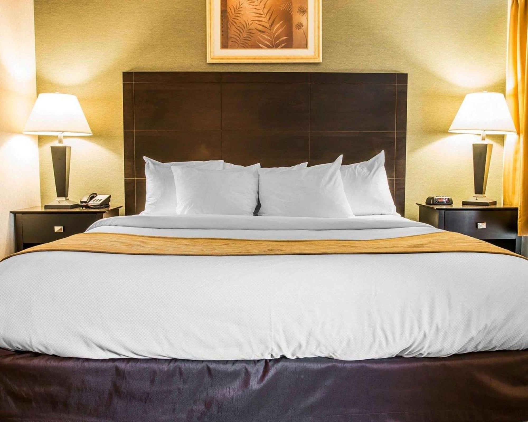 Comfort Inn Whitehall Near Michigan'S Adventure Esterno foto